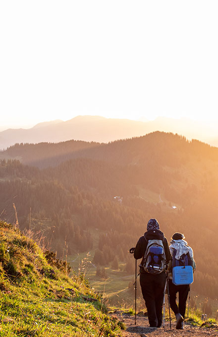 巅峰国际官网-钻营健全,你我一路成长